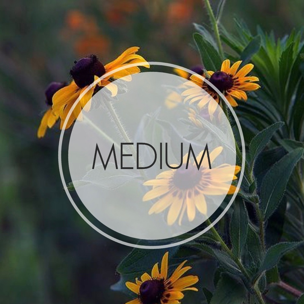 Medium items:)